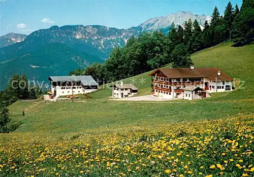 AK / Ansichtskarte Oberau__Berchtesgaden Pension Madllehn Bergwiese Alpen 