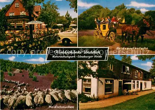 AK / Ansichtskarte Undeloh Waldschaenke Gasthaus Pension Heidschnucken Postkutsche Undeloh
