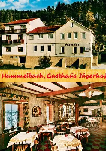 AK / Ansichtskarte Hammelbach Gasthaus Jaegerhof Hammelbach