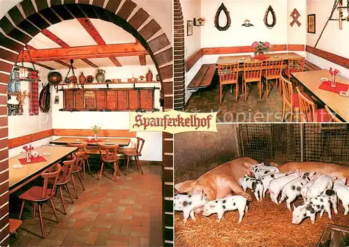 AK / Ansichtskarte Heidelberg_Neckar Spanferkelhof Heidelberg Neckar