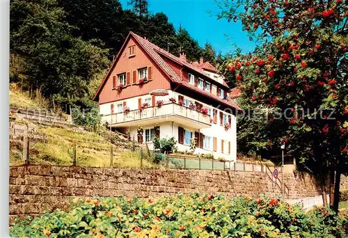 AK / Ansichtskarte Wildbad_Schwarzwald Haus Michel Aussenansicht Wildbad_Schwarzwald