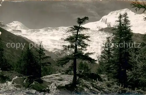 AK / Ansichtskarte Saas Fee Laerchenwald mit Allalinhorn und Alphubel mit Feegletscher Saas Fee
