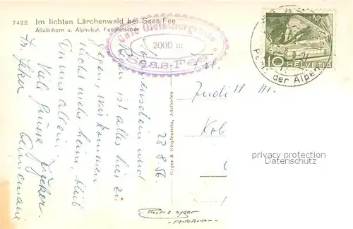 AK / Ansichtskarte Saas Fee Laerchenwald mit Allalinhorn und Alphubel mit Feegletscher Saas Fee