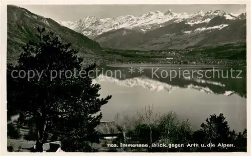 AK / Ansichtskarte Immensee Blick auf Arth und die Alpen Immensee