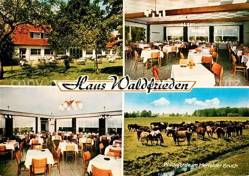 AK / Ansichtskarte Boernste Gasthaus Waldfrieden am Wildpark Restaurant Wildpferde im Merfelder Bruch Boernste