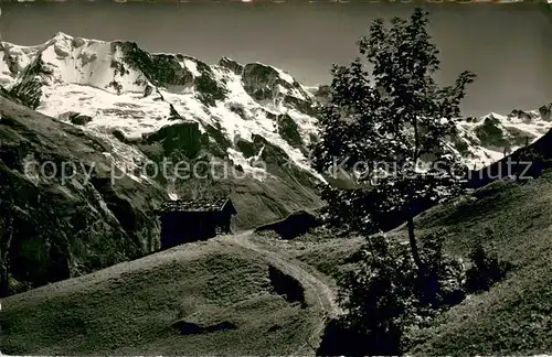 AK / Ansichtskarte Muerren_BE mit Ebnefluh und Mittaghorn Muerren_BE
