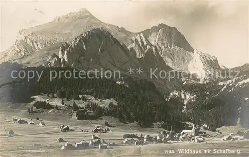 AK / Ansichtskarte Wildhaus__SG mit Schafberg 