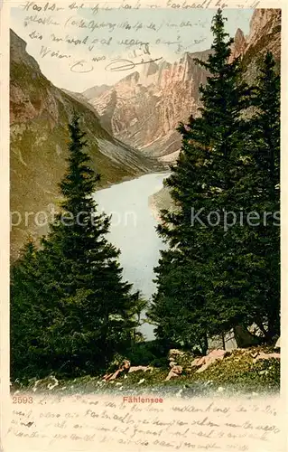AK / Ansichtskarte Faehlensee_IR Panorama 