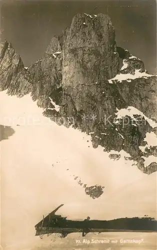 AK / Ansichtskarte Alp_Schrenit_Gamskopf_SG Panorama 