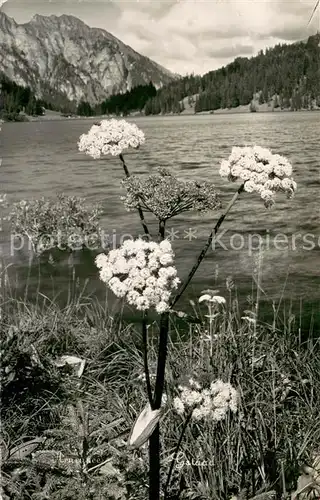 AK / Ansichtskarte Gstaad_BE Arnensee 