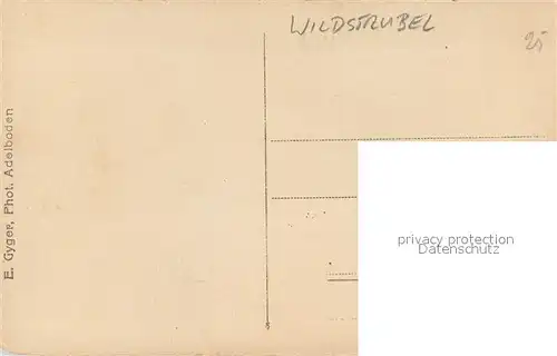 AK / Ansichtskarte Wildstrubel_3244m_BE Panorama 