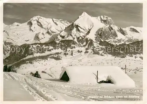 AK / Ansichtskarte Wildhaus__SG Saentis mit Schafberg 