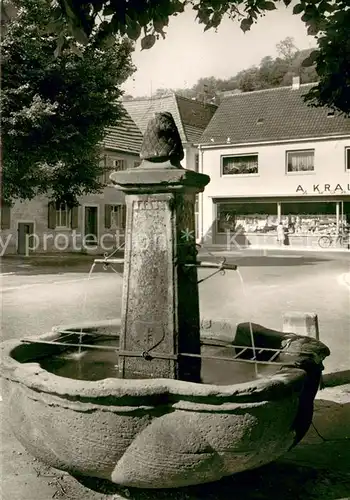 AK / Ansichtskarte Schoenau_Odenwald Marktbrunnen Schoenau Odenwald