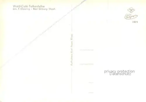 AK / Ansichtskarte Bad_Driburg Wald Cafe Falkenhoehe Bad_Driburg