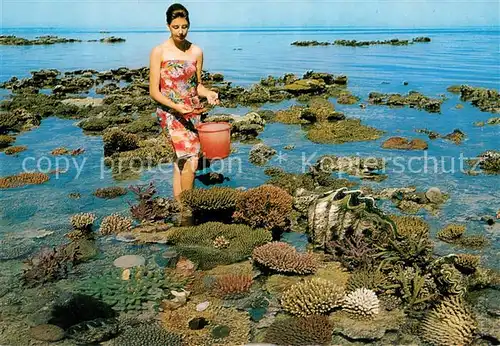 AK / Ansichtskarte Great_Barrier_Reef_Australia Coral Garden 