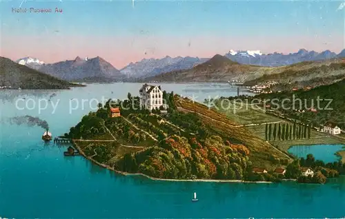 AK / Ansichtskarte Au_Halbinsel_ZH Hotel Pension Panorama 