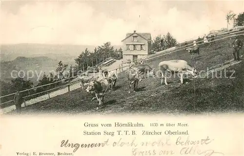 AK / Ansichtskarte Hoernlikulm_Hoernli Kulm_1136m_ZH Station Steg Zuercher Oberland 
