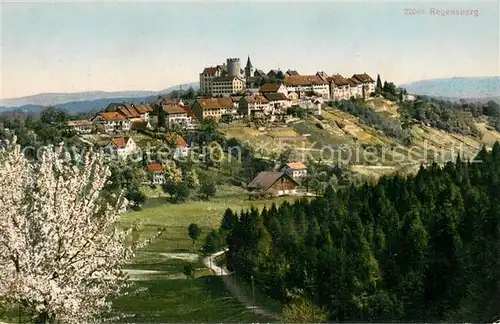 AK / Ansichtskarte Regensberg_Dielsdorf_ZH Hotel Krone Panorama mit Schloss 