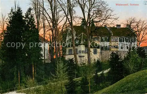 AK / Ansichtskarte Waedenswil_Waedensweil_ZH Schloss 