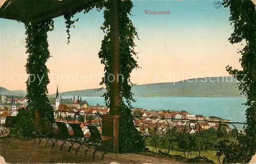AK / Ansichtskarte Waedenswil_Waedensweil_ZH Panorama 
