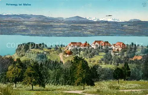 AK / Ansichtskarte Hohenegg_Meilen_ZH Panorama 