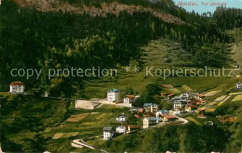 AK / Ansichtskarte Morcles_VD Vue generale 