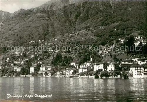 AK / Ansichtskarte Brissago_Lago_Maggiore Seepanorama Brissago_Lago_Maggiore