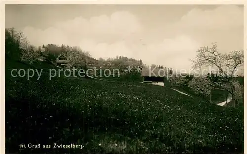 AK / Ansichtskarte Zwieselberg_BE Panorama Zwieselberg BE