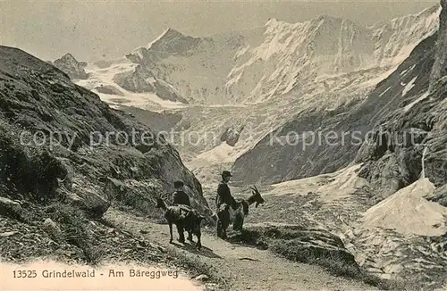 AK / Ansichtskarte Grindelwald Ziegenhirten am Baereggweg Grindelwald