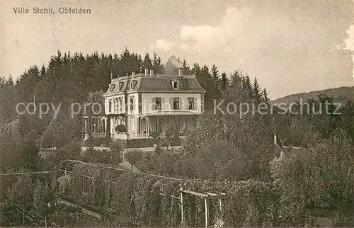 AK / Ansichtskarte Obfelden_ZH Villa Stehli 
