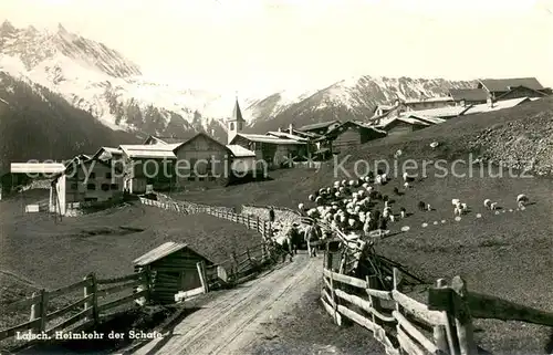 AK / Ansichtskarte Latsch_GR Ortsansicht mit heimkehrender Schafherde Latsch_GR
