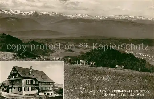 AK / Ansichtskarte Wald_ZH Gast und Kurhaus Alp Scheidegg Panorama Wald_ZH
