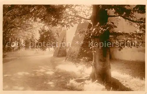 AK / Ansichtskarte Rorschach_SG Waldpartie 