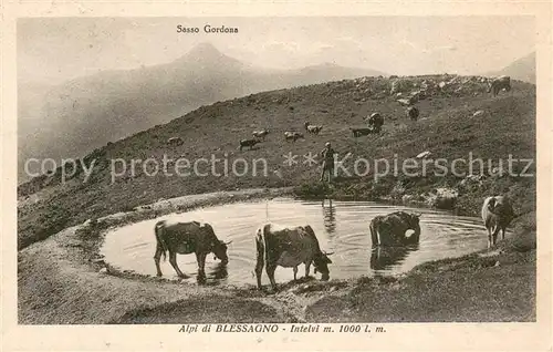 AK / Ansichtskarte Blessagno_Argegno_Italia Sasso Gordona Alpi di Blessagno Intelvi 