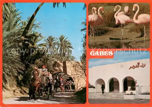 AK / Ansichtskarte Gabes Hotel Chems Pferdekutschen Flamingos Gabes