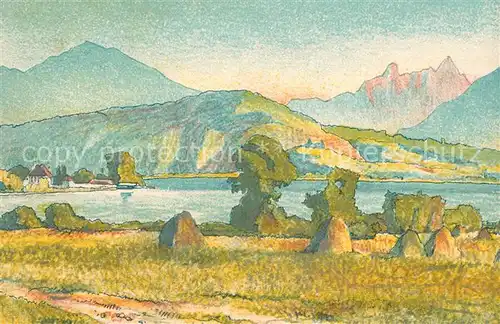 AK / Ansichtskarte Zuerichsee_ZH Panorama am Obersee Lithographie Zuerichsee ZH