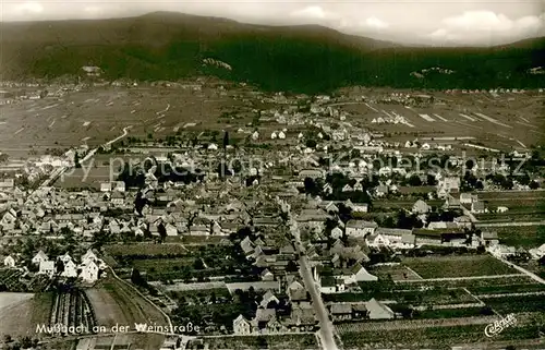 AK / Ansichtskarte Mussbach Fliegeraufnahme Mussbach