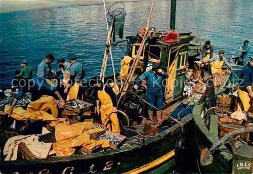 AK / Ansichtskarte Fischerei Iris P.P.1567 Retour de Peche 