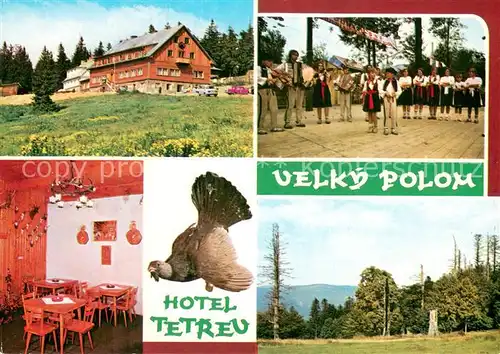AK / Ansichtskarte Velky_polom Dolni Lomna Hotel Tetrev 