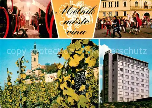 AK / Ansichtskarte Melnik_Czechia Vinne sklepy Zamek Hotel Ludmila 