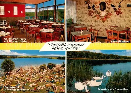 AK / Ansichtskarte Schmidthahn Dreifelder Weiher Haus Am See Badestrand Schwaene Schmidthahn