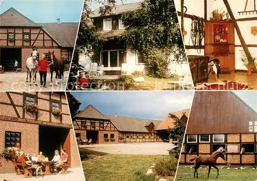 AK / Ansichtskarte Eschede Ferien  u. Reithof Schlichte Eschede