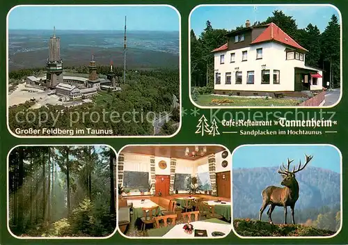 AK / Ansichtskarte Sandplacken_Taunus Cafe Restaurant Tannenheim Grosser Feldberg Fliegeraufnahme Hirsch Waldpartie Sandplacken_Taunus