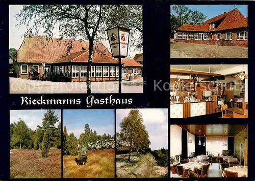 AK / Ansichtskarte Behringen_Bispingen Rieckmanns Gasthaus Landschaft Lueneburger Heide Behringen Bispingen