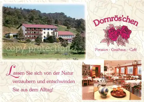 AK / Ansichtskarte Hoechst_Odenwald Pension Gasthaus Cafe Dornroeschen Hoechst_Odenwald