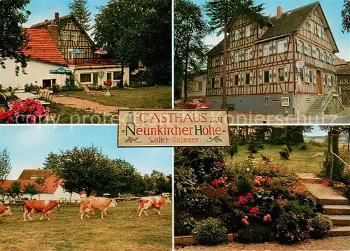 AK / Ansichtskarte Luetzelbach_Odenwald Gasthaus zur Neunkircher Hoehe Landwirtschaft Viehweide Luetzelbach Odenwald