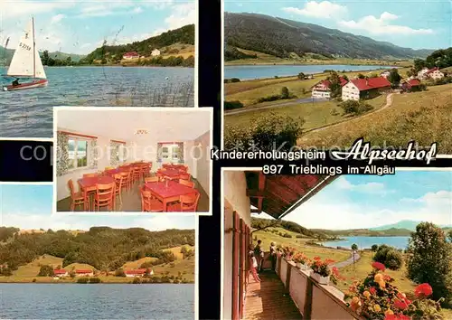 AK / Ansichtskarte Trieblings Kindererholungsheim Alpseehof Landschaftspanorama Trieblings