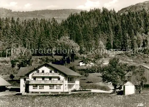 AK / Ansichtskarte Bodenmais Gasthof Pension Boehmhof Bodenmais