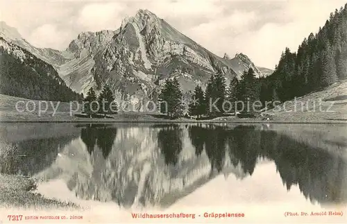 AK / Ansichtskarte Wildhaus__SG Wildhauserschafberg Graeppelensee 