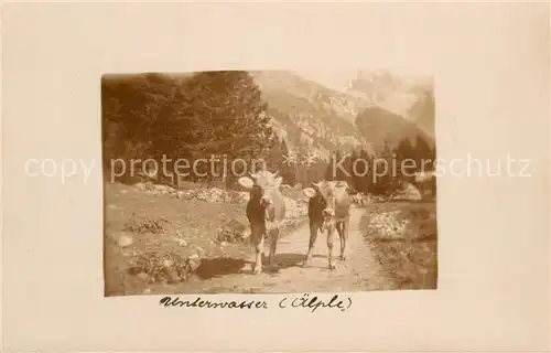 AK / Ansichtskarte Unterwasser__Toggenburg_SG aelpele 